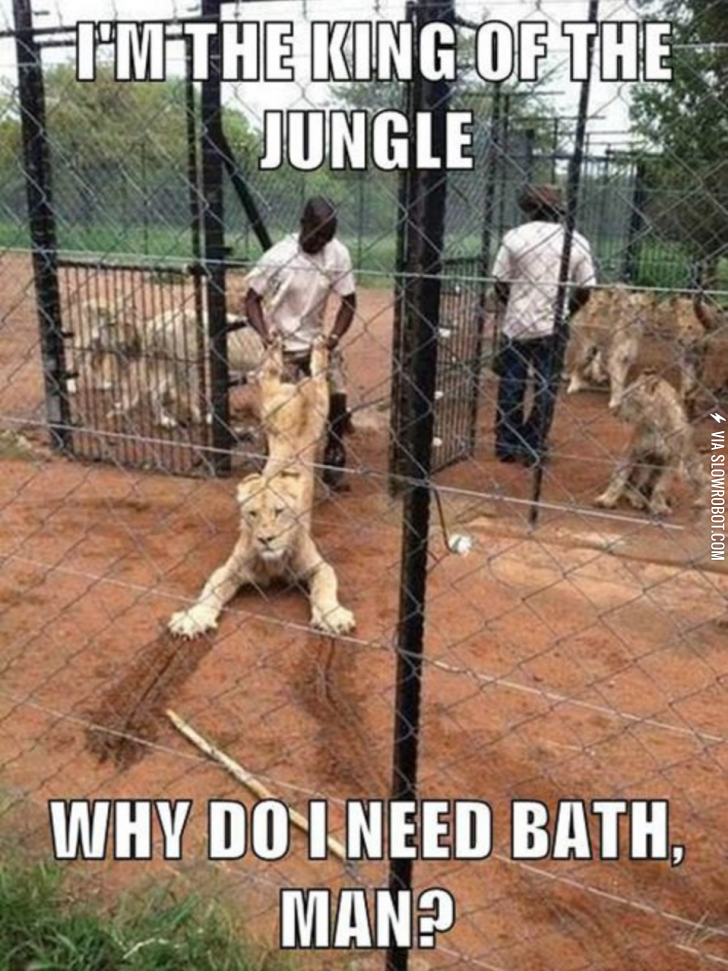 I+have+been+disgraced%21