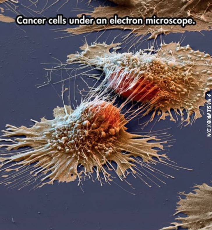 They+look+so+evil%21