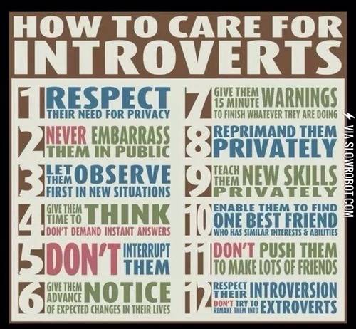 How+to+care+for+introverts.