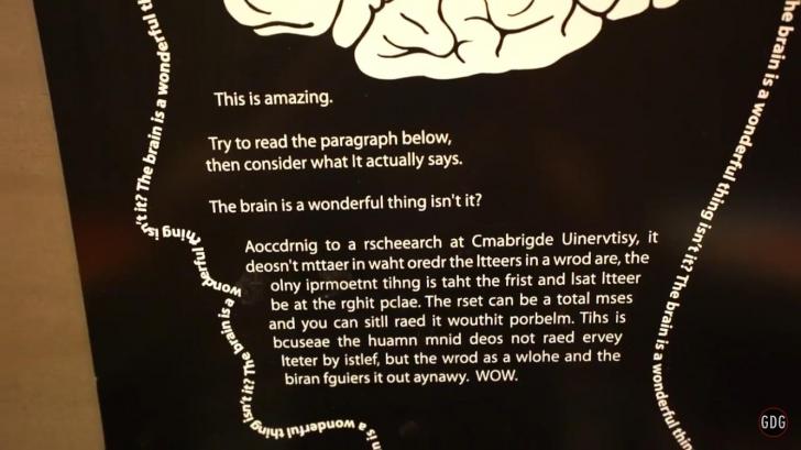 The+brain+is+a+wonderful+thing+isn%26%238217%3Bt+it%3F