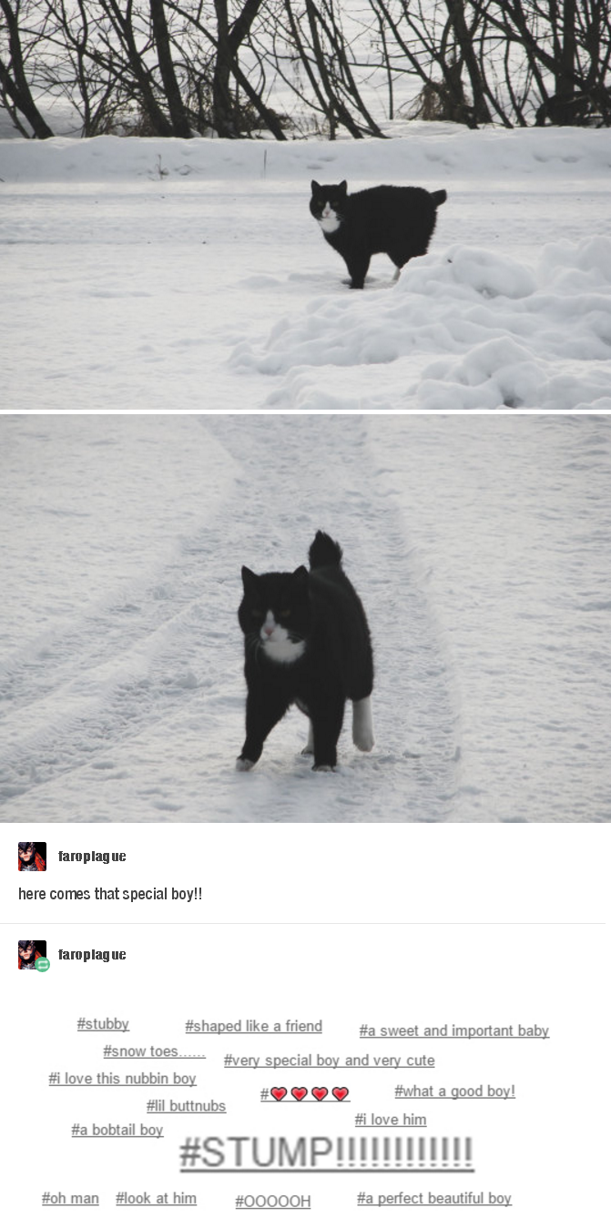 %23shapedlikeafriend