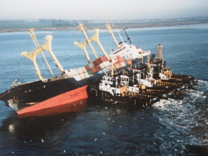 Baby+ships+nursing+in+the+wild