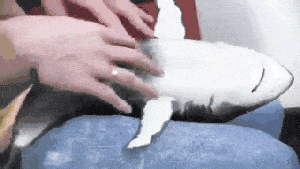 Me+getting+tickle+tortured.