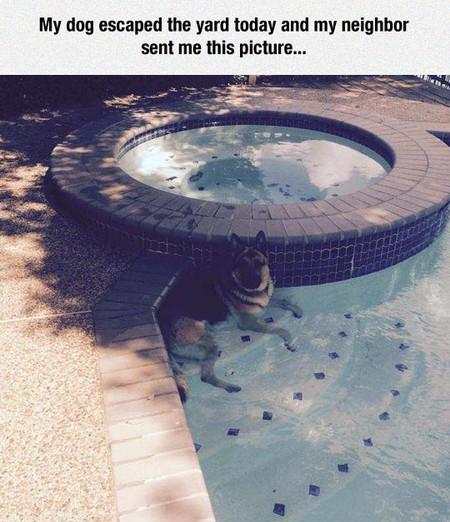 Can%26%238217%3Bt+Stand+The+Heat+Anymore