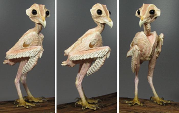 An+owl+without+feathers