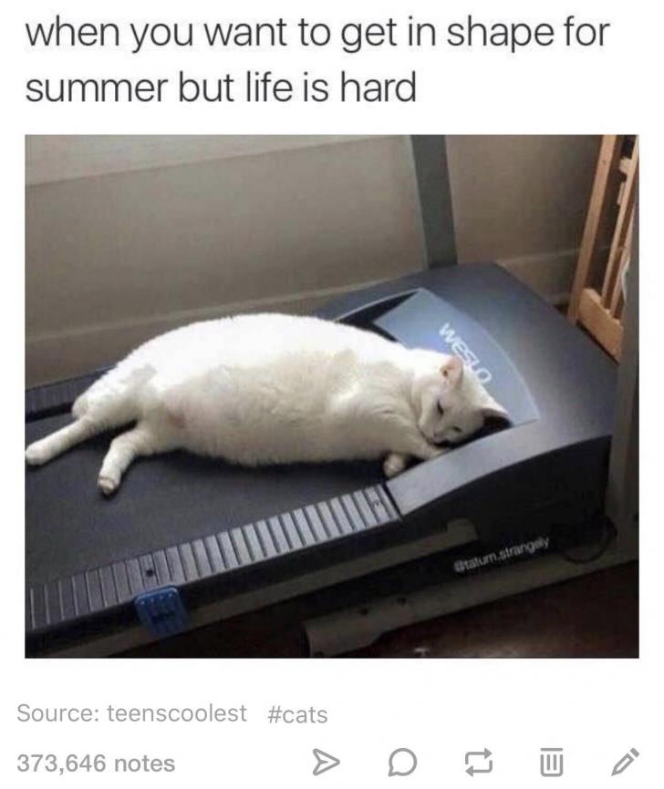 the+summer+struggle+is+real