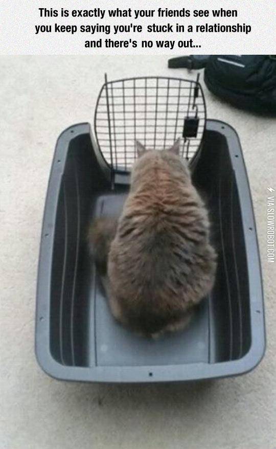 Pretty+Accurate+Representation