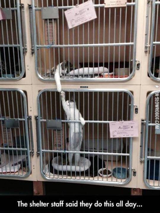 They%26%238217%3Bre+The+Best+Of+Friends