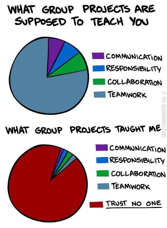 Group+Projects+In+A+Nutshell