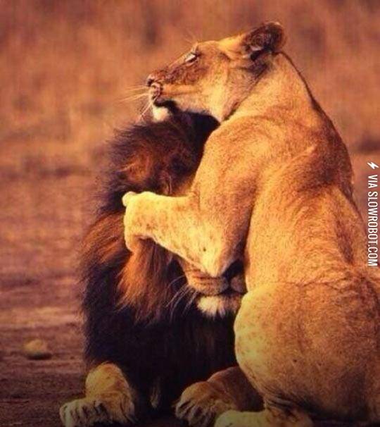 Every+King+Needs+His+Queen