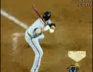 Baseball+bat+lands+standing+on+its+end