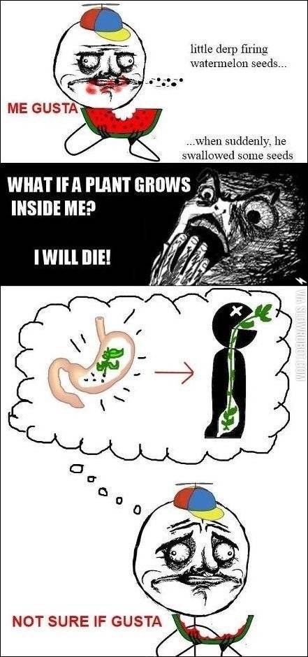 What+I+thought+when+I+was+little.