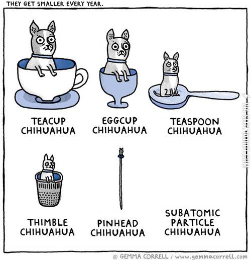 They+get+smaller+every+year.