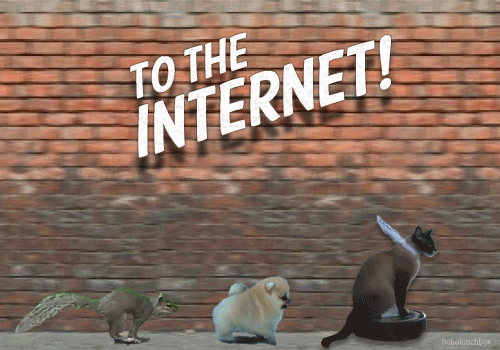 To+the+Internet%21