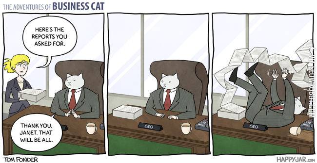 The+adventures+of+Business+Cat.
