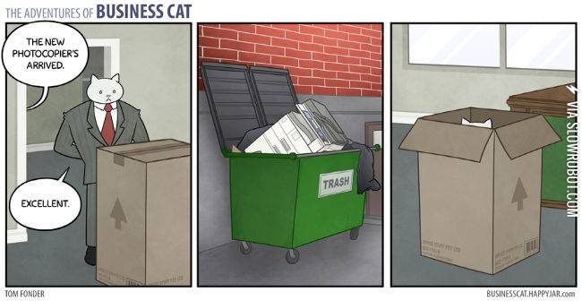 The+adventures+of+Business+Cat.