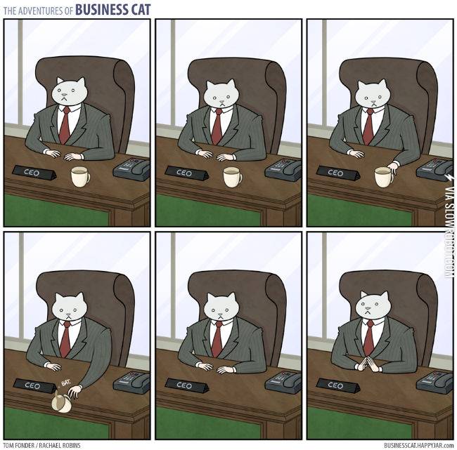 The+adventures+of+Business+Cat.