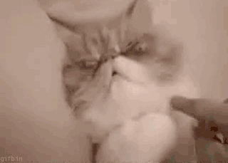 OMG%21%21+why+this+happend+to+me%3F%21