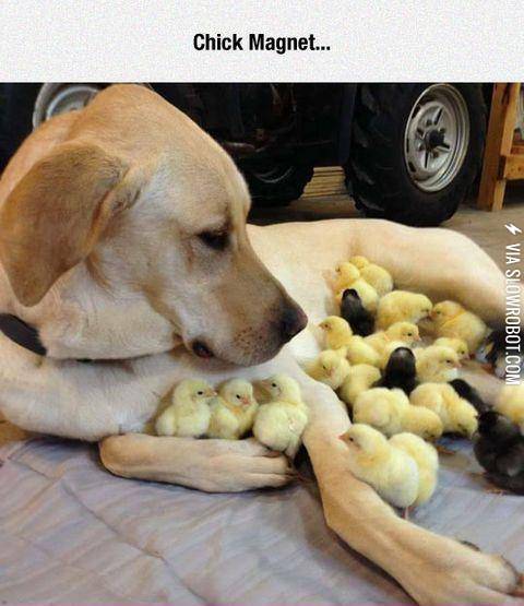 You+Either+Have+It+Or+You+Don%26%23039%3Bt