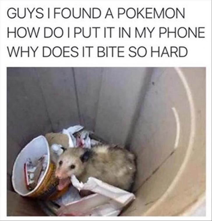 Why+does+it+bite+so+hard%3F