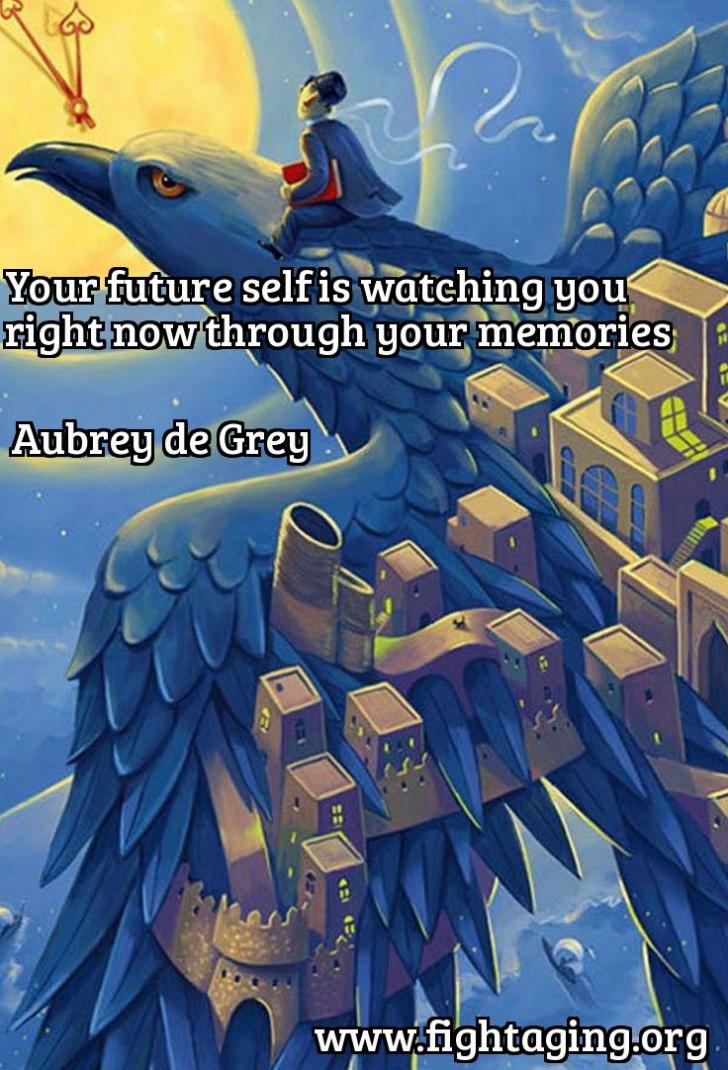 Your+future+self+is+watching+you+right+now+through+your+memories