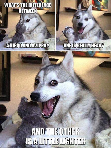 What%26%238217%3Bs+The+Difference+Between+A+Hippo+And+A+Zippo%3F