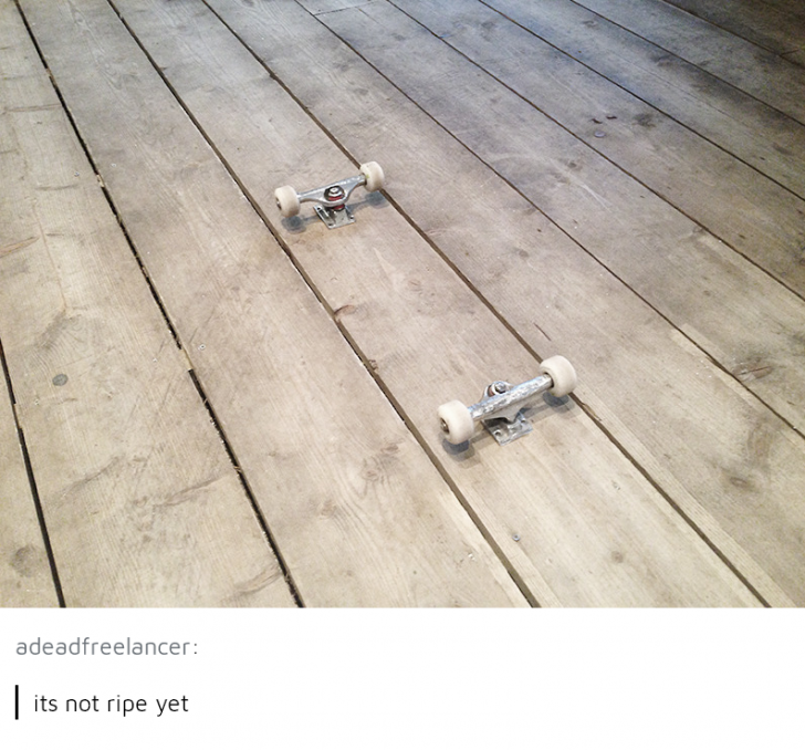 It+will+be+a+bountiful+harvest