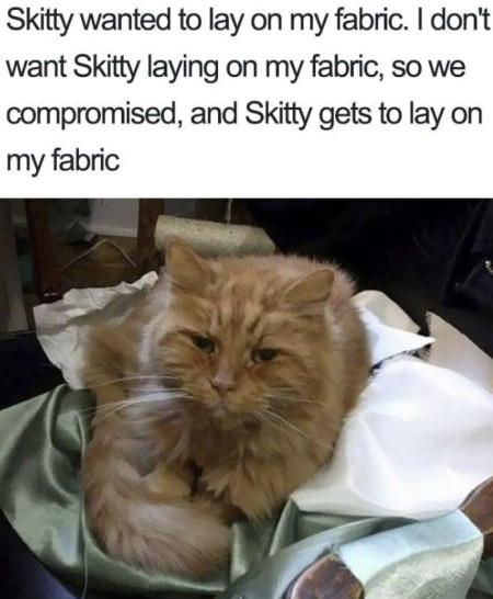 Skitty+Wanted+To+Lay+On+My+Fabric