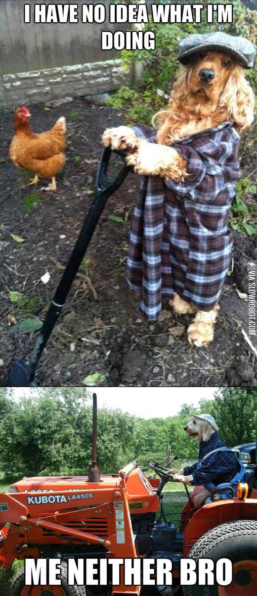 I+have+no+idea+what+I%26%238217%3Bm+doing.