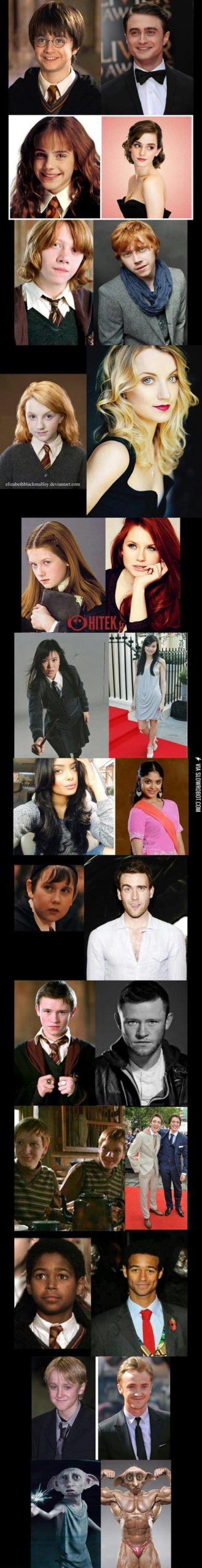 Harry+Potter+Characters+Are+Stunning+Now