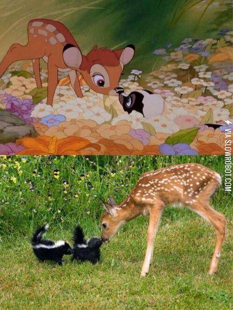 That+did+not+just+happen