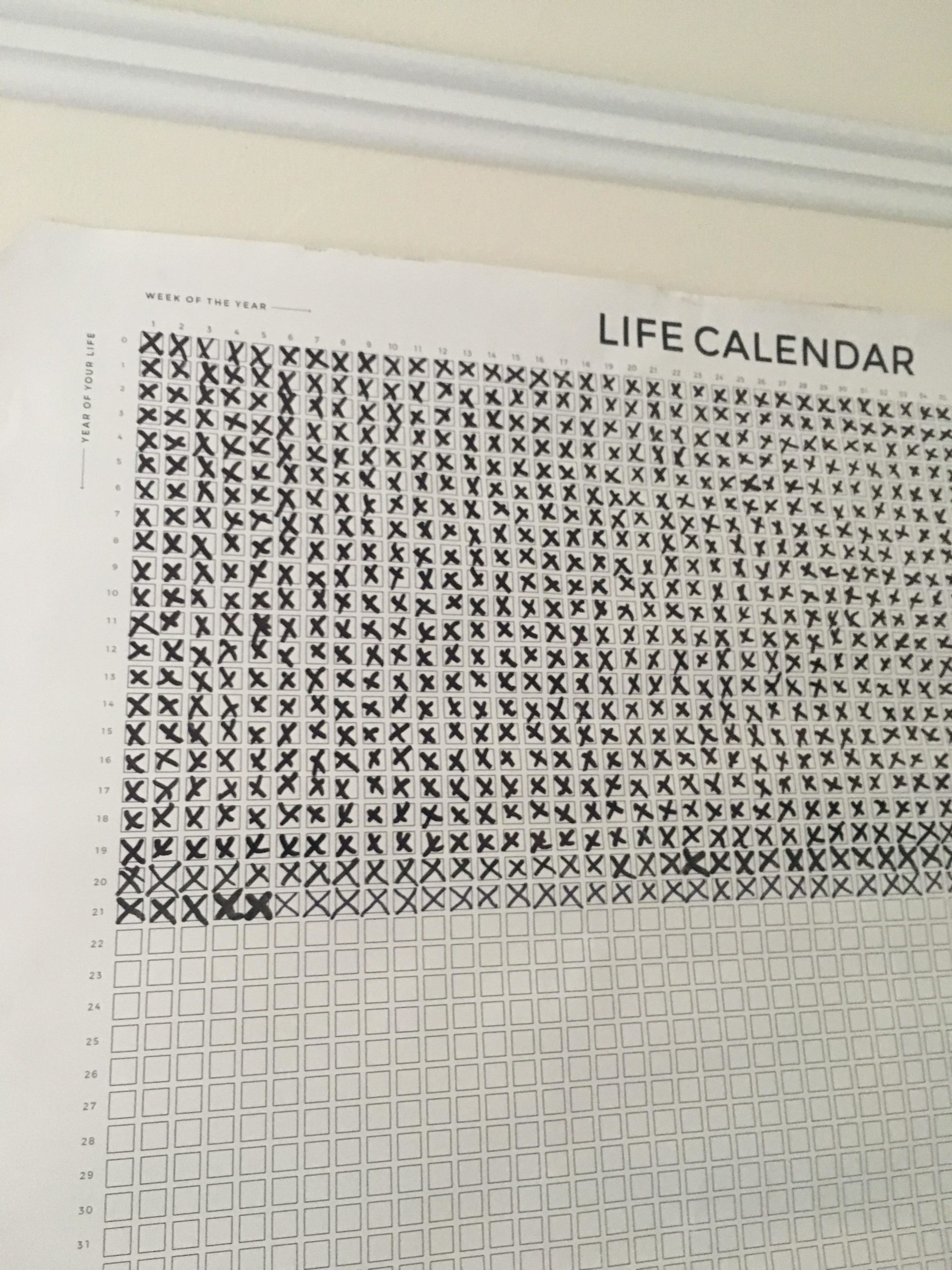 A+very+morbid+calendar.