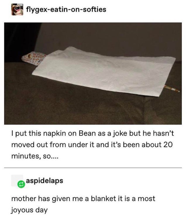 I+will+remain+tucked.