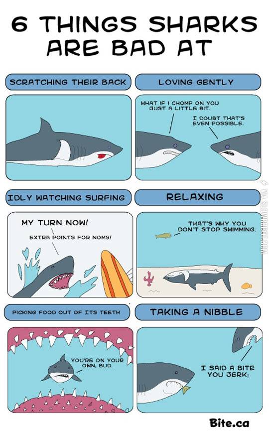 Things+sharks+are+bad+at.