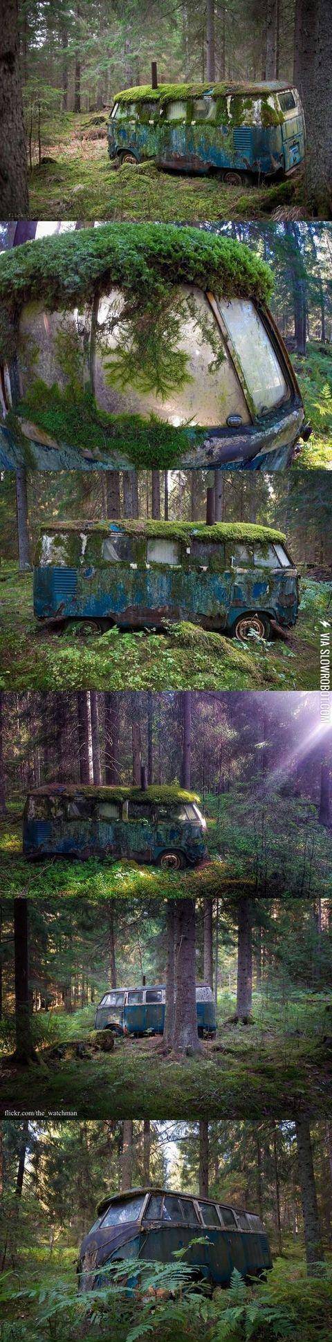 Abandoned+VW+bus+that+was+once+someone%26%23039%3Bs+home%2C+deep+in+the+forests+of+Norway