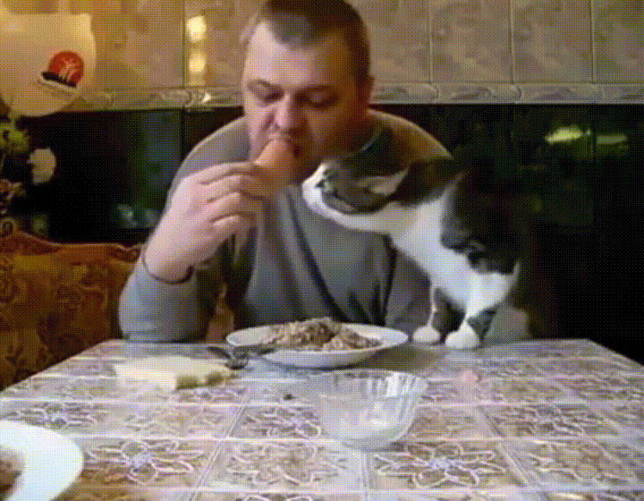 %26quot%3BWelp%2C+grab+attempt+has+failed.+I+know+what+I+must+do.%26quot%3B