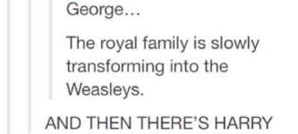 The+Royal+Family+members+are+turning+into+the+Weasleys%2C+with+irony.