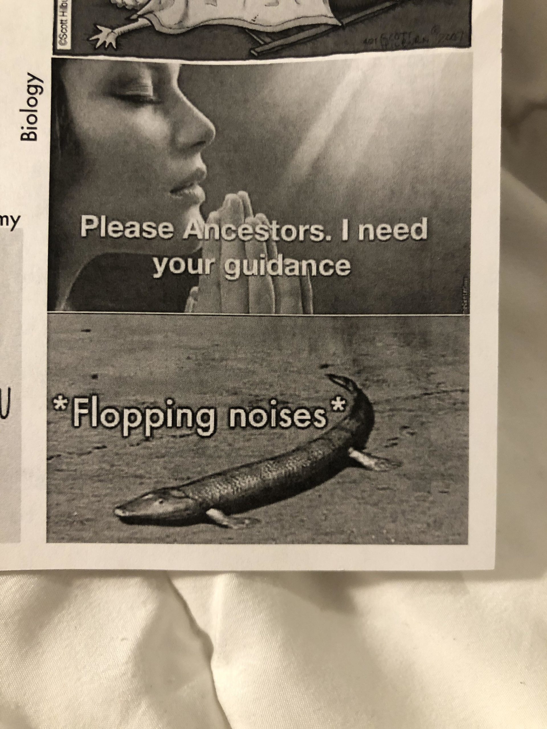 Biology+will+save+you%21