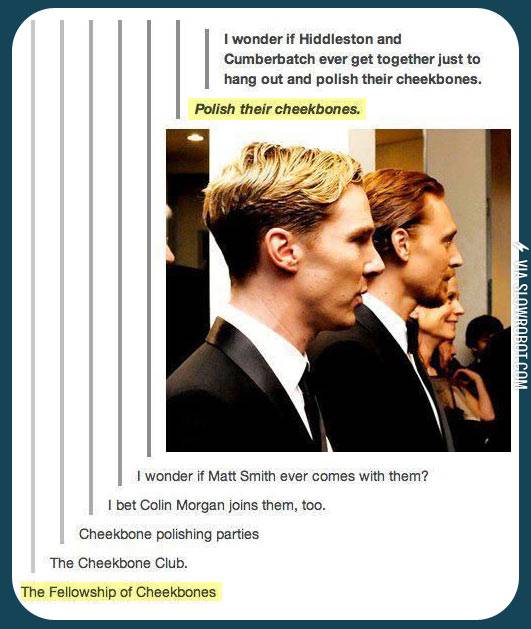 The+Fellowship+of+Cheekbones.