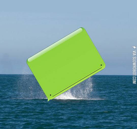 Suddenly+a+wild+whale+appears.