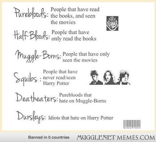 THE+HARRY+POTTER+GUIDE