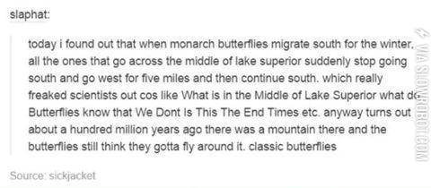 Butterflies+trolling