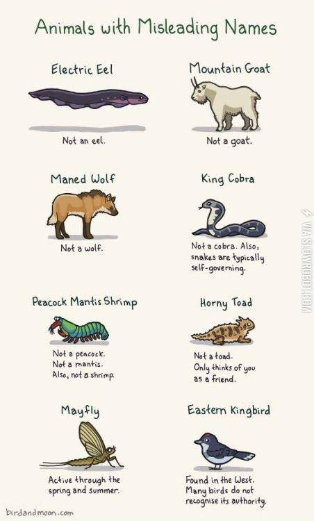 Only+thinks+of+you+as+a+friend