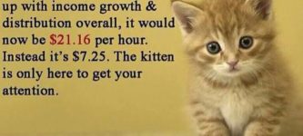 Minimum+wage+is+too+low%2C+and+here+is+a+kitten.