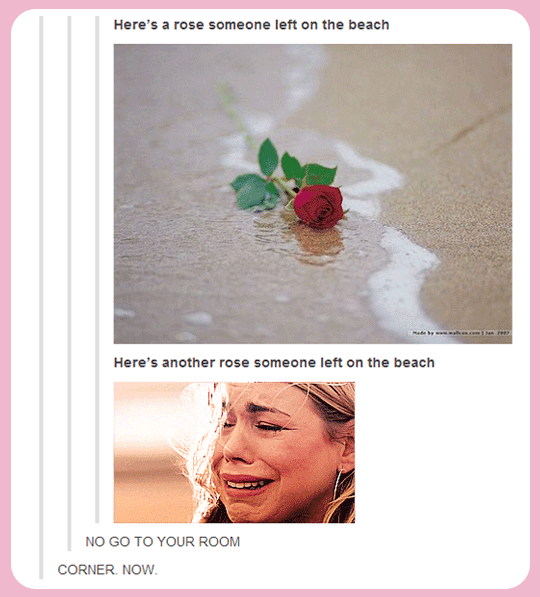 Here%26%238217%3Bs+a+rose+someone+left+on+the+beach.