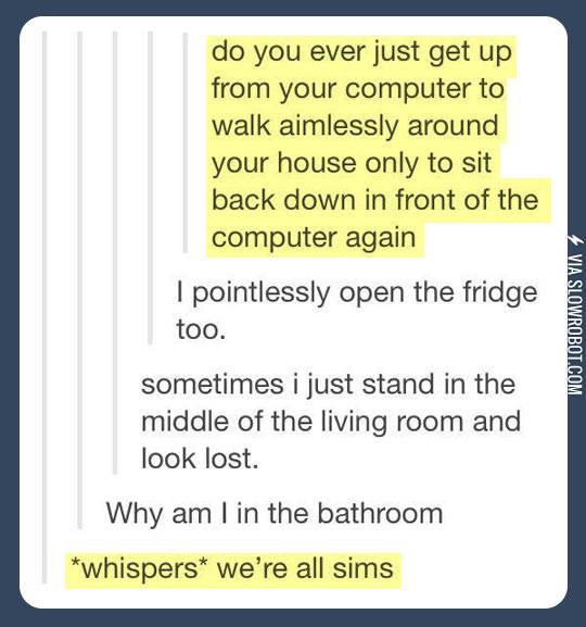 We+are+all+Sims.