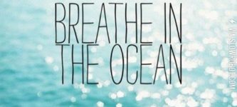 Breathe+in+the+ocean.