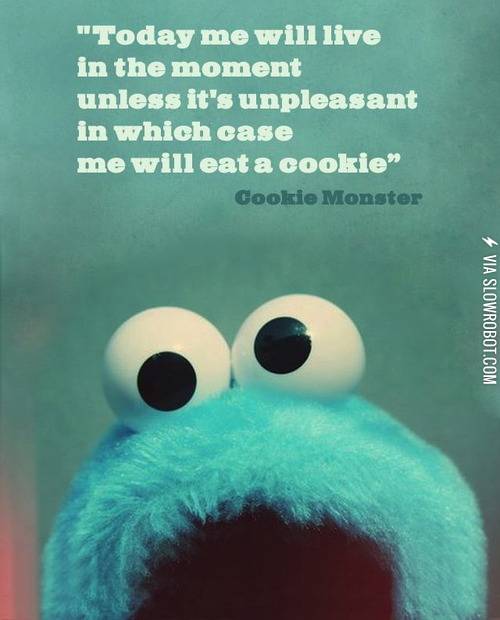 Life+as+the+Cookie+Monster.