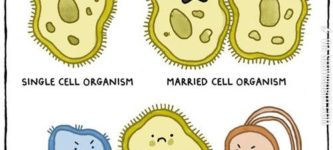 Single+cell+organisms.