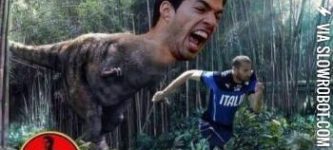 Suarez+Park.